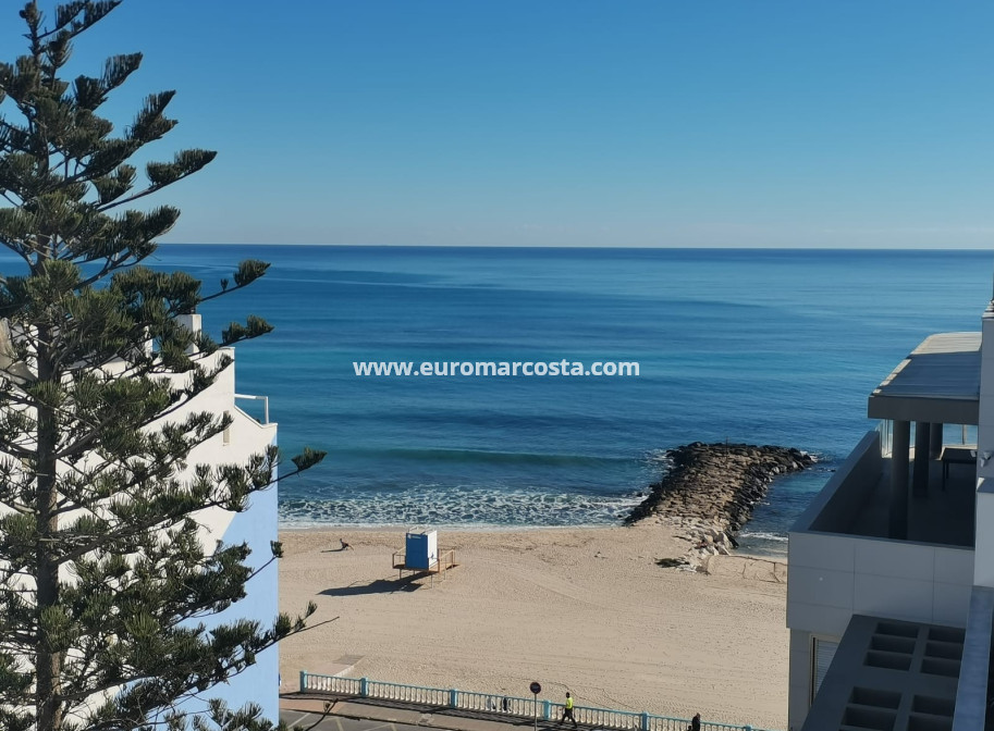 Nueva construcción  - Ático - Torrevieja - TORREVIEJA