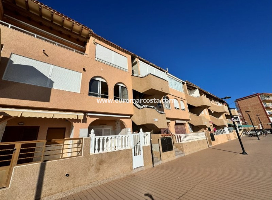 Venta - Apartamento / piso - La Mata