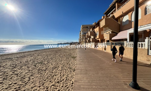 Venta - Apartamento / piso - La Mata