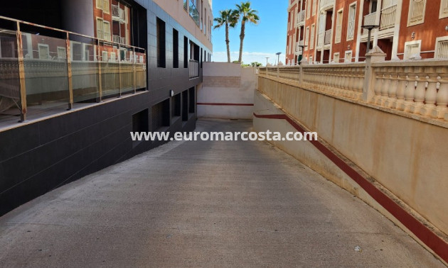 Venta - Apartamento / piso - La Mata