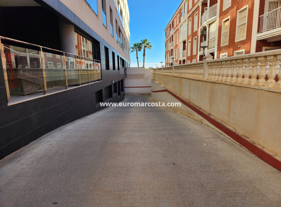 Venta - Apartamento / piso - La Mata