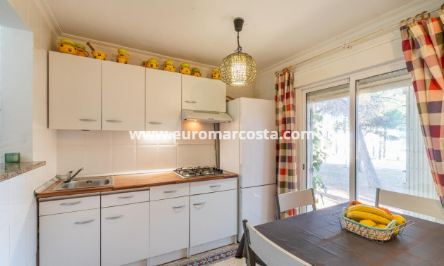 Venta - Adosado - Torrevieja - TORREVIEJA