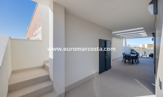 Neubauten - Villa freitstehend - Torrevieja - TORREVIEJA