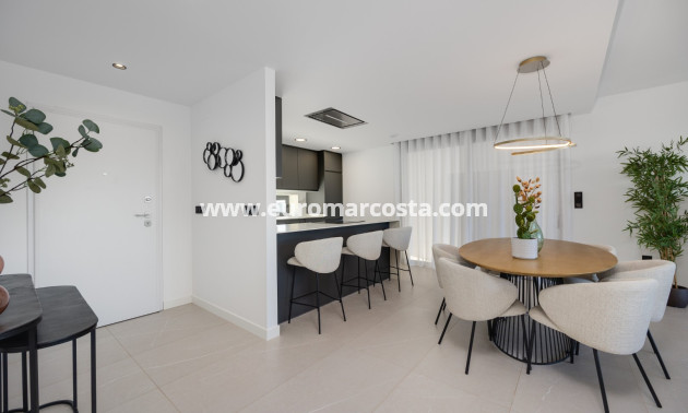 Neubauten - Villa freitstehend - Torrevieja - TORREVIEJA