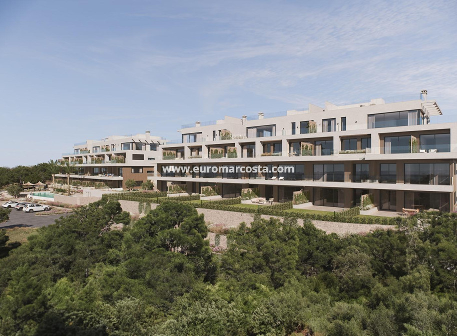 New Build - Apartment / flat - San Miguel de Salinas