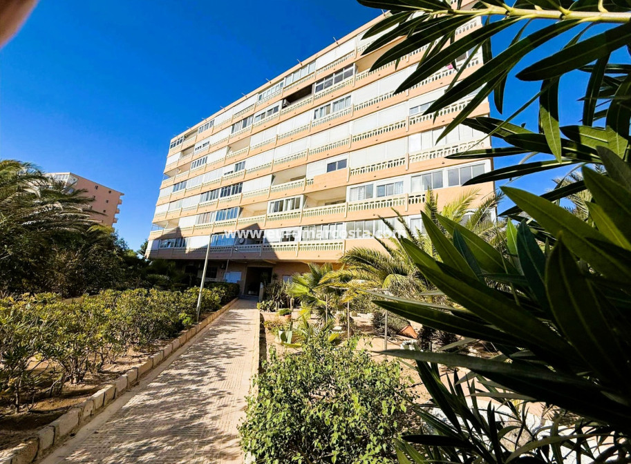 Venta - Apartamento / piso - La Mata