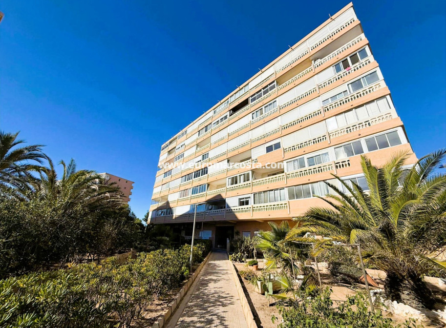 Venta - Apartamento / piso - La Mata