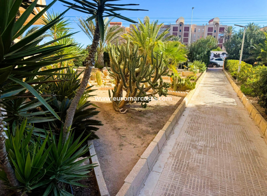 Venta - Apartamento / piso - La Mata