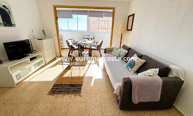 Venta - Apartamento / piso - La Mata