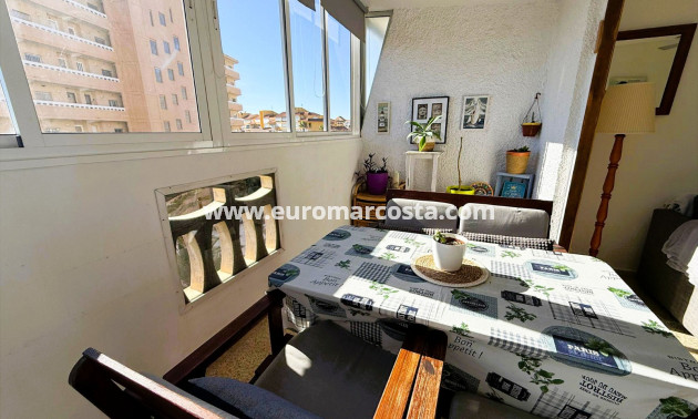 Venta - Apartamento / piso - La Mata