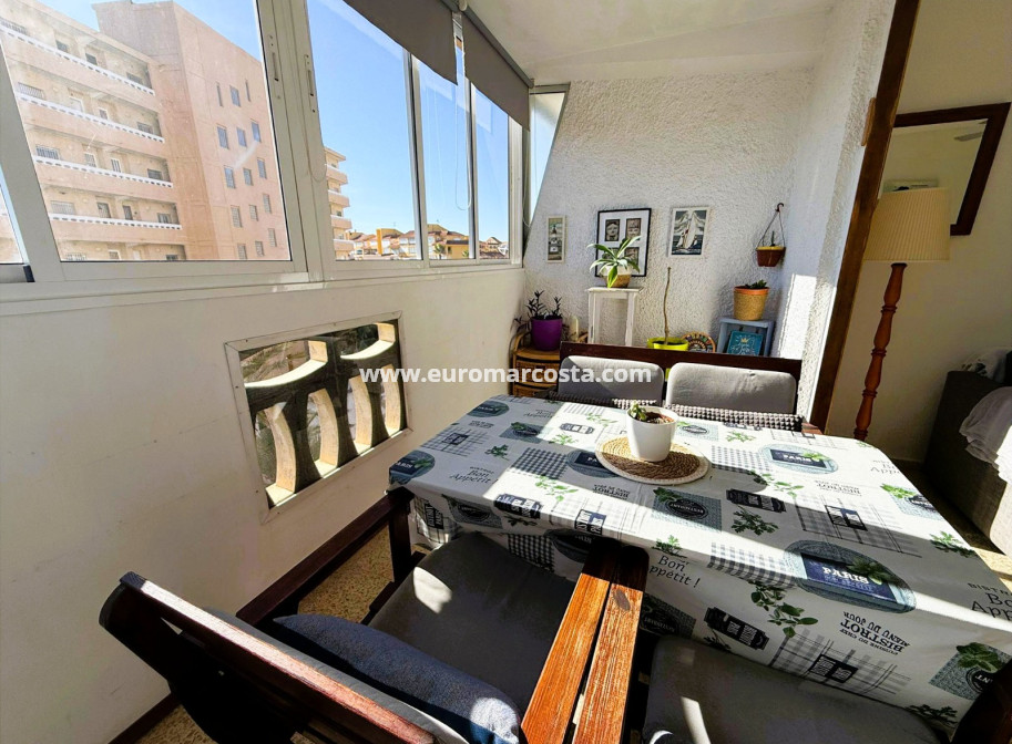 Venta - Apartamento / piso - La Mata