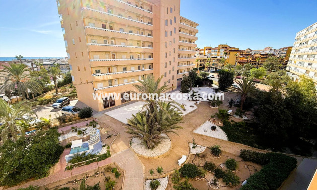 Venta - Apartamento / piso - La Mata