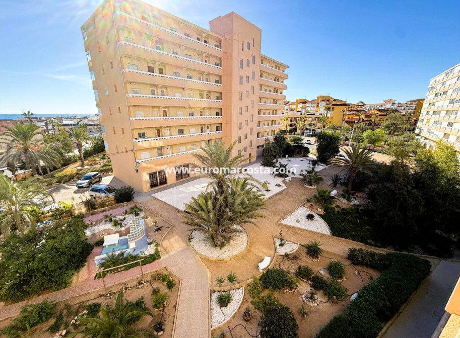 Venta - Apartamento / piso - La Mata