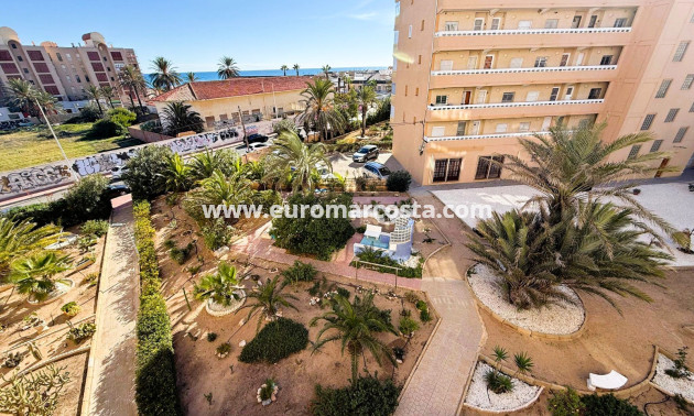 Venta - Apartamento / piso - La Mata