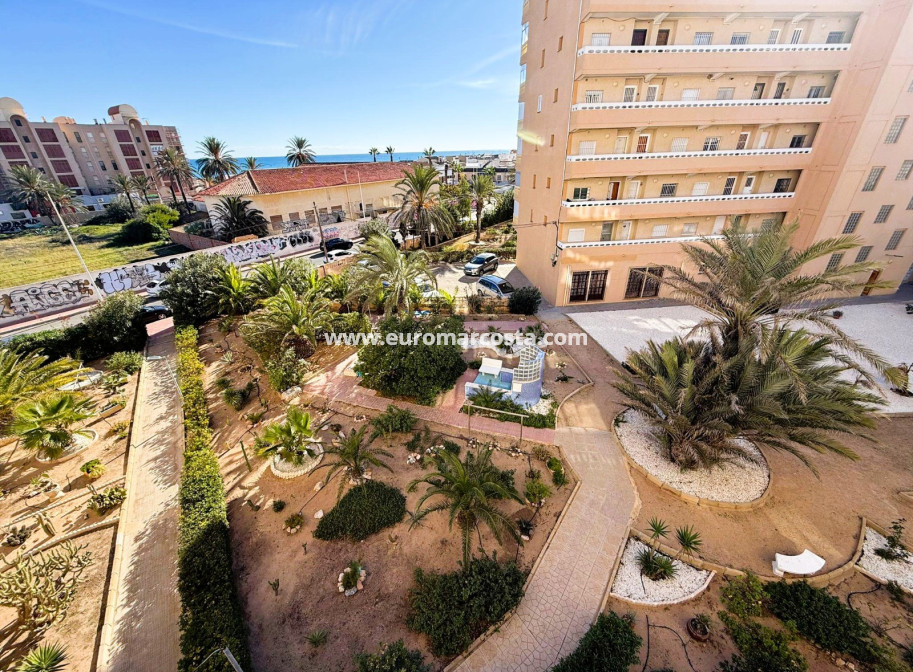 Venta - Apartamento / piso - La Mata