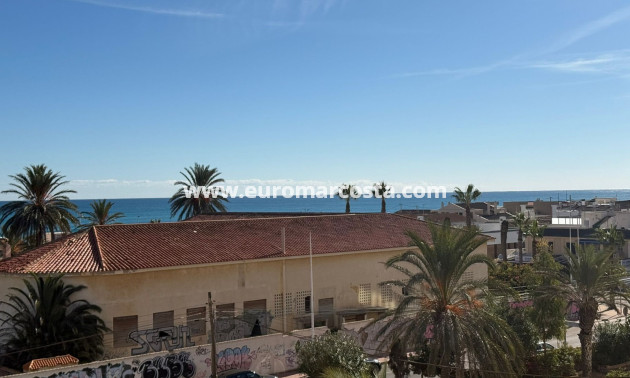 Venta - Apartamento / piso - La Mata
