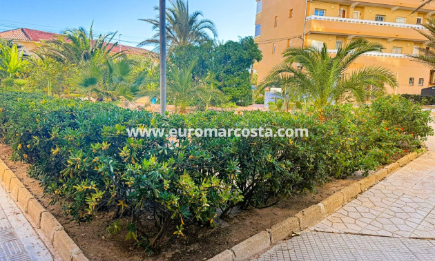Venta - Apartamento / piso - La Mata