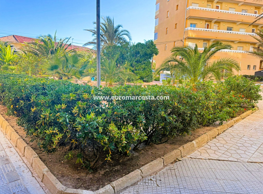 Venta - Apartamento / piso - La Mata