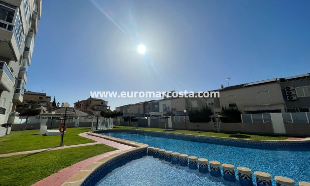 Sale - Apartment / flat - Torrevieja - TORREVIEJA