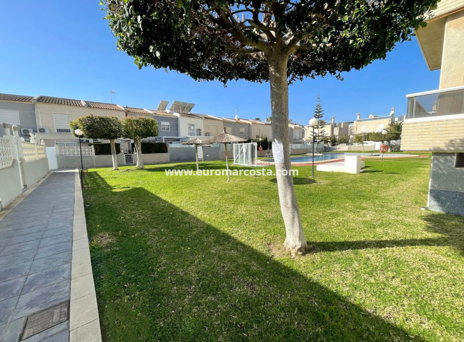 Sale - Apartment / flat - Torrevieja - TORREVIEJA