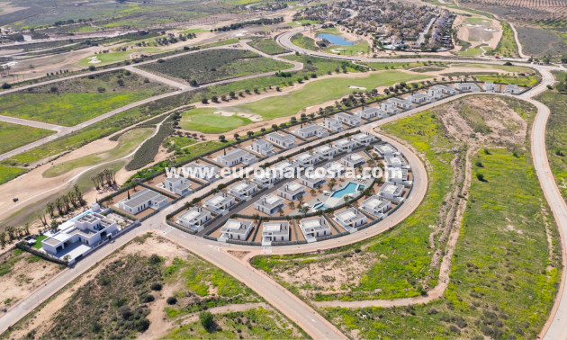 Nueva construcción  - detached - Fuente Álamo de Murcia - Murcia