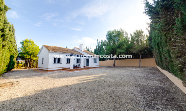 Nueva construcción  - detached - Fuente Álamo de Murcia - Murcia