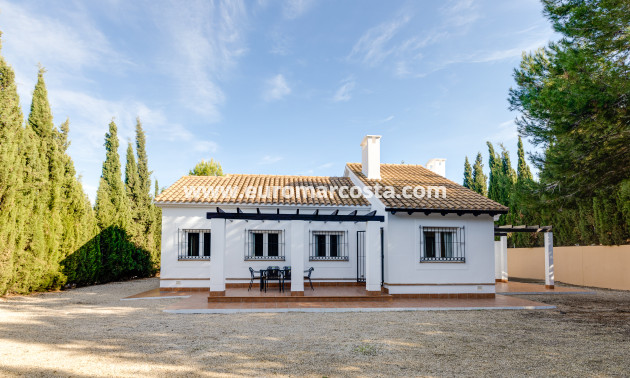 Nueva construcción  - detached - Fuente Álamo de Murcia - Murcia