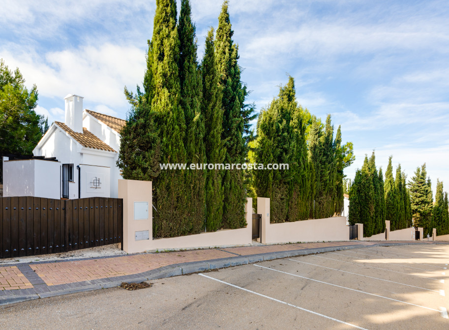 Nueva construcción  - terraced - Fuente Álamo de Murcia - Murcia