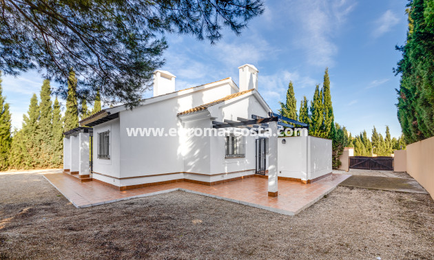 Nueva construcción  - terraced - Fuente Álamo de Murcia - Murcia