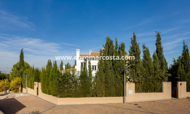 Nueva construcción  - terraced - Fuente Álamo de Murcia - Murcia