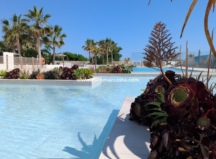 New Build - Penthouse - Denia