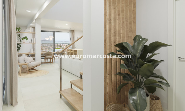 Nueva construcción  - detached - Ciudad Quesada