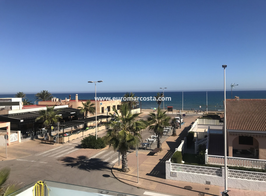New Build - detached - La Mata