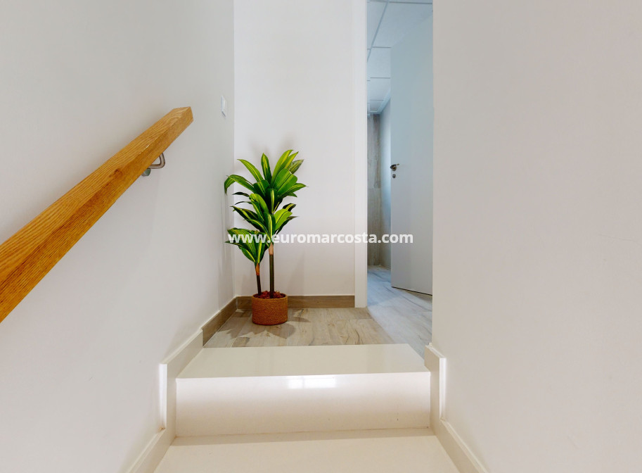 New Build - Apartment / flat - Pilar de la Horadada