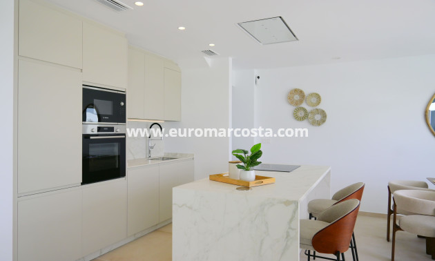 New Build - Quad - Dolores