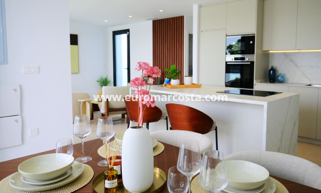 New Build - Quad - Dolores