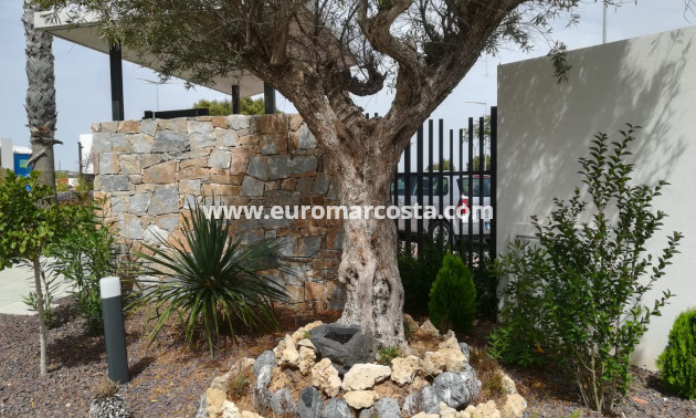 Nueva construcción  - low-bungalow - Torrevieja - TORREVIEJA