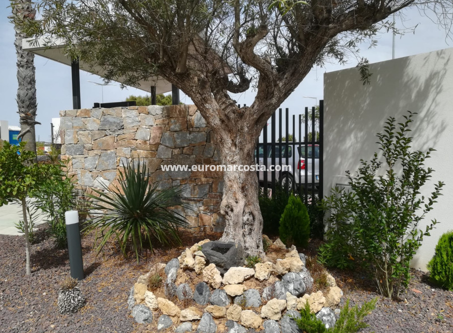 Nueva construcción  - low-bungalow - Torrevieja - TORREVIEJA