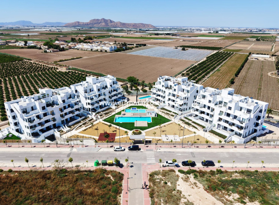 Nueva construcción  - ground-floor - Torre-Pacheco - Torre Pacheco