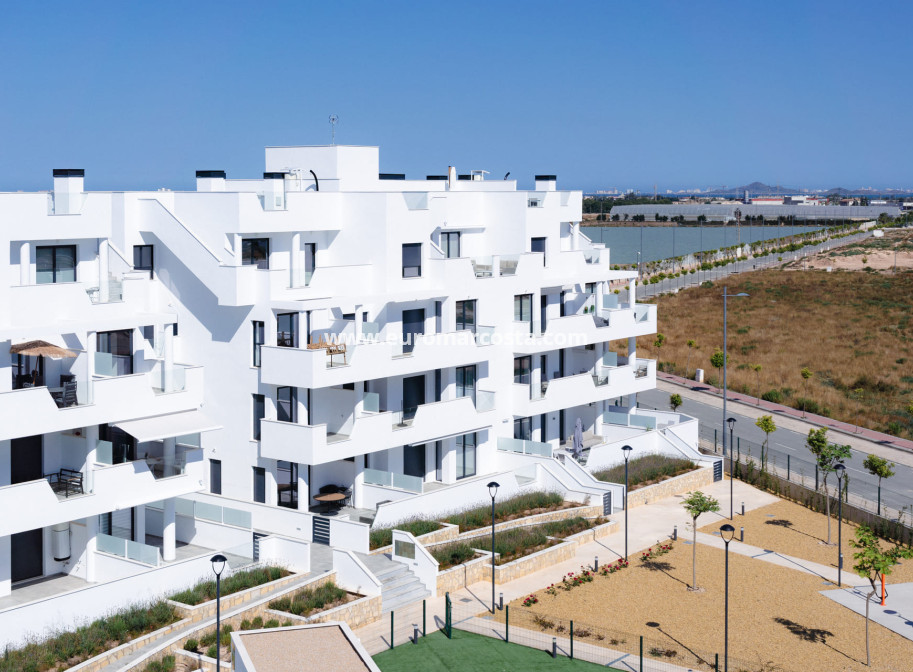 Nueva construcción  - ground-floor - Torre-Pacheco - Torre Pacheco