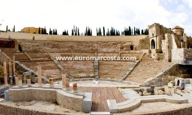 Neubauten - Wohnung - La Manga del Mar Menor