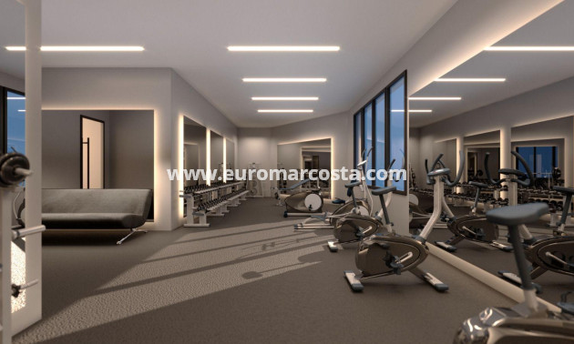 Nueva construcción  - Ático - Torrevieja - TORREVIEJA