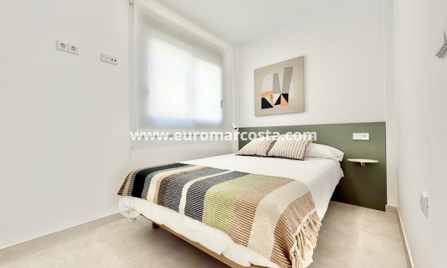 New Build - high-bungalow - Cox