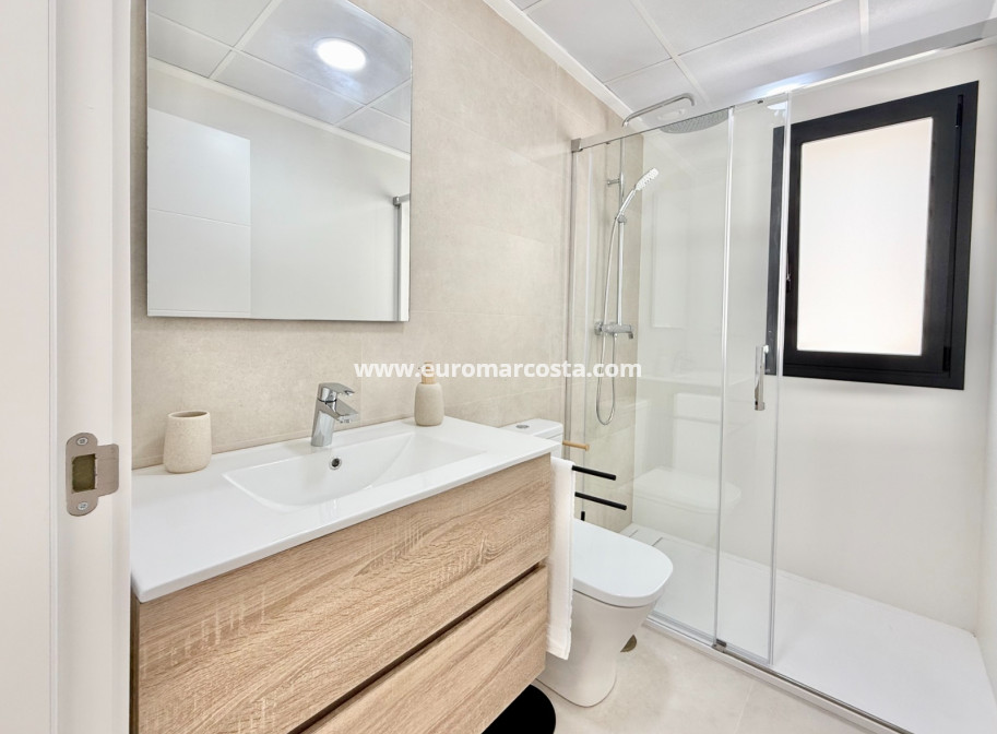 New Build - high-bungalow - Cox