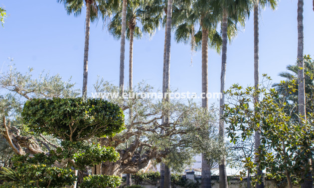 Neubauten - Villa freitstehend - San Pedro del Pinatar - San Pedro de Pinatar