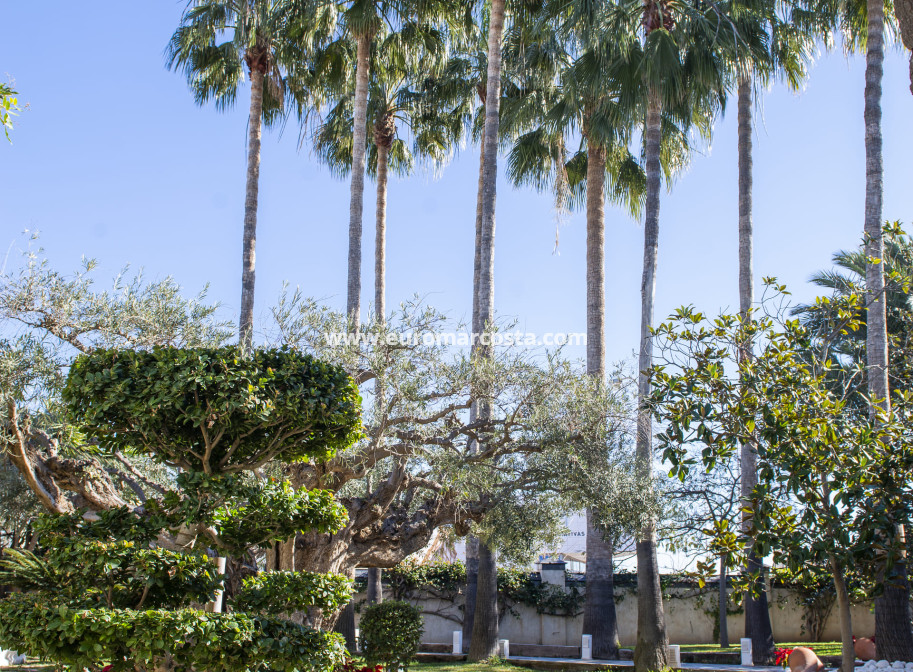 Neubauten - Villa freitstehend - San Pedro del Pinatar - San Pedro de Pinatar