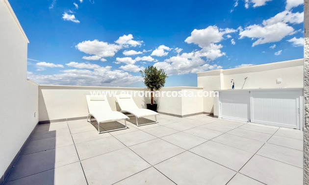 New Build - terraced - Cox