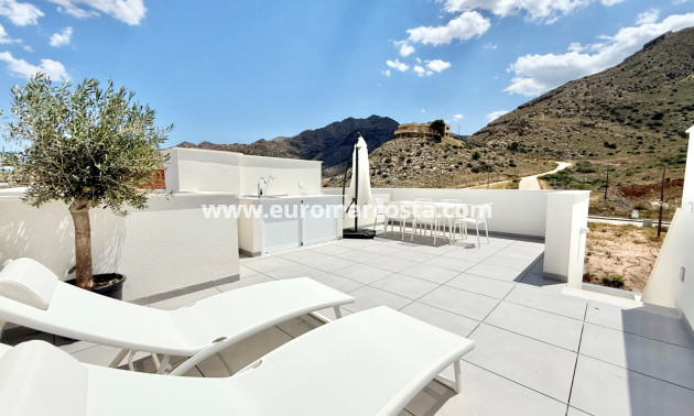 New Build - terraced - Cox