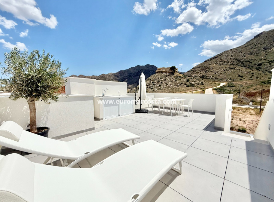 New Build - terraced - Cox