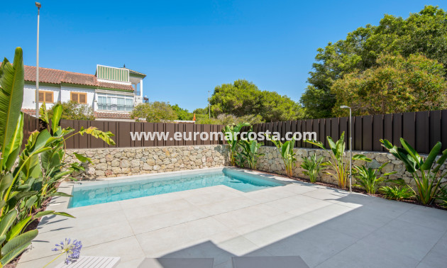 Nueva construcción  - detached - Pilar de la Horadada